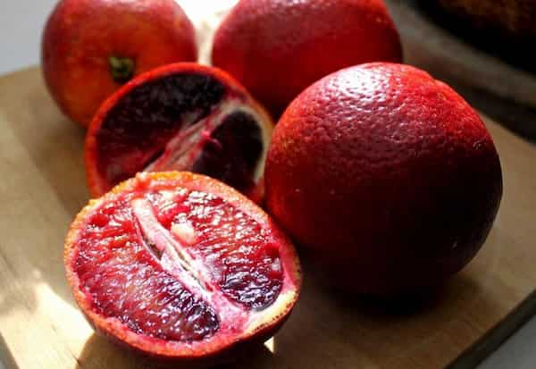 تصویر 4 از قیمت خرید تامسون توسرخ با فروش عمده